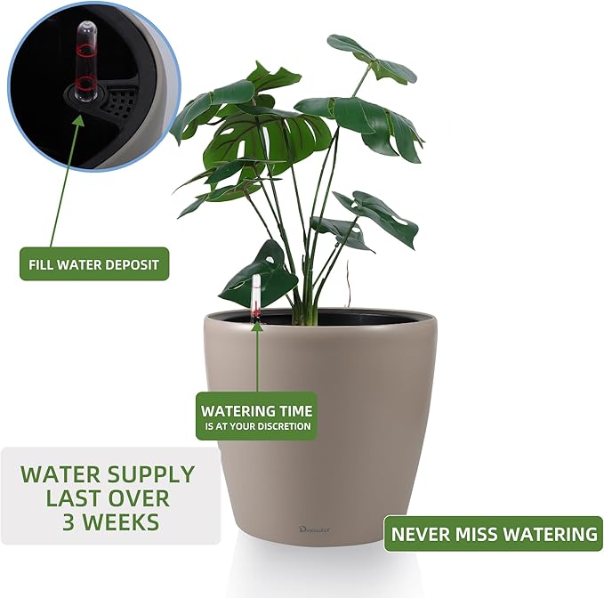 Dexceder 9x8 Inches Self Watering Planter Indoor Outdoor, Inner Pot Design - Image 5