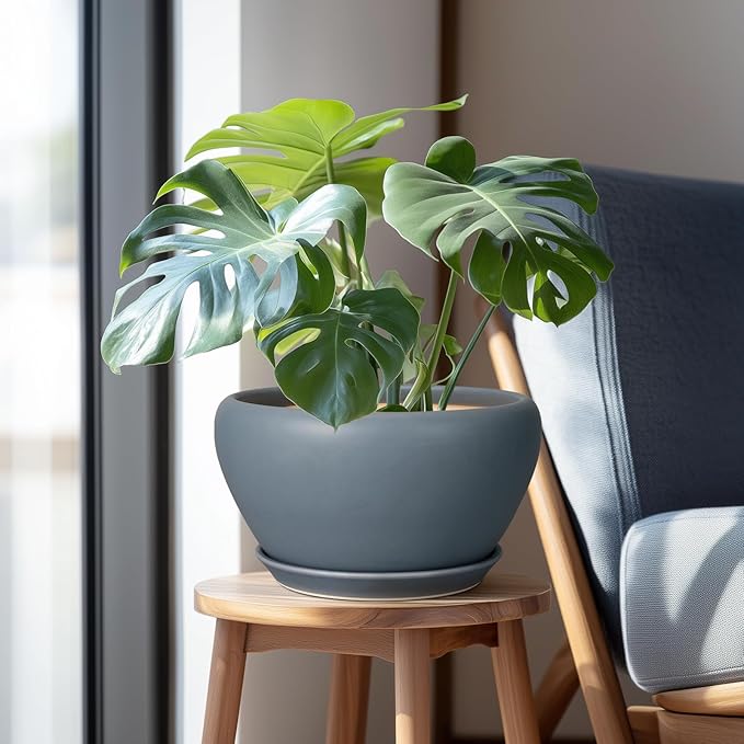 Ceramic Plant Pot - Image 5