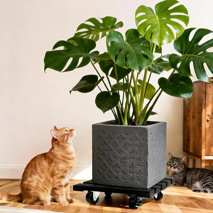 2 Pack Plant Stand with Wheels, Plant Caddies with 360° Lockable Smooth Sliding - Image 6