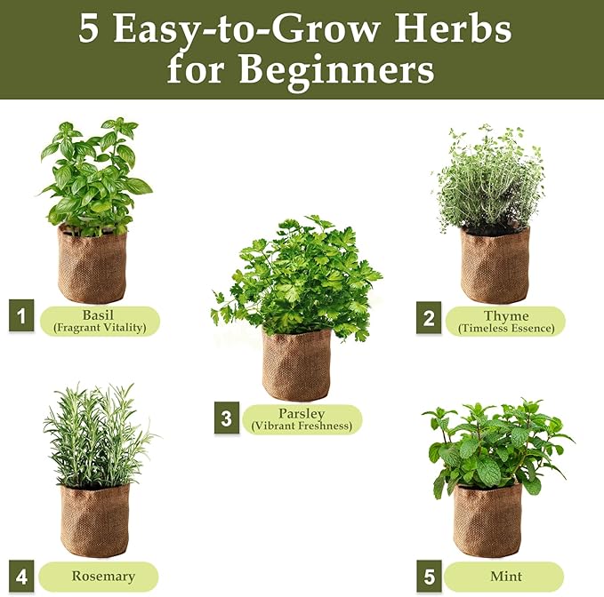 5 Herb Garden Planter Indoor - Image 2