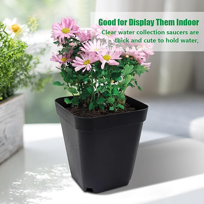 Square Nursery pots 4 Inches 60Pcs, Seedling Plastic Seeds propogation Growing - Image 7