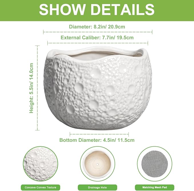 Ceramic Plant Pot - Image 2