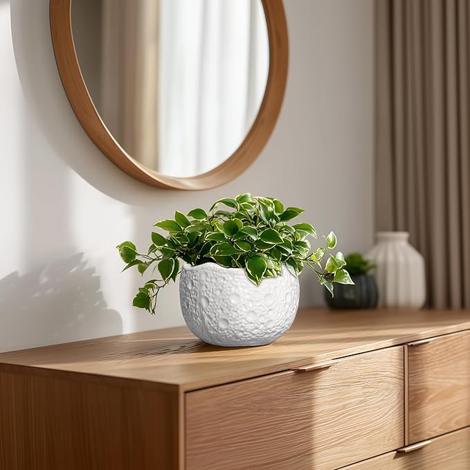 Ceramic Pots for Plants - Image 7