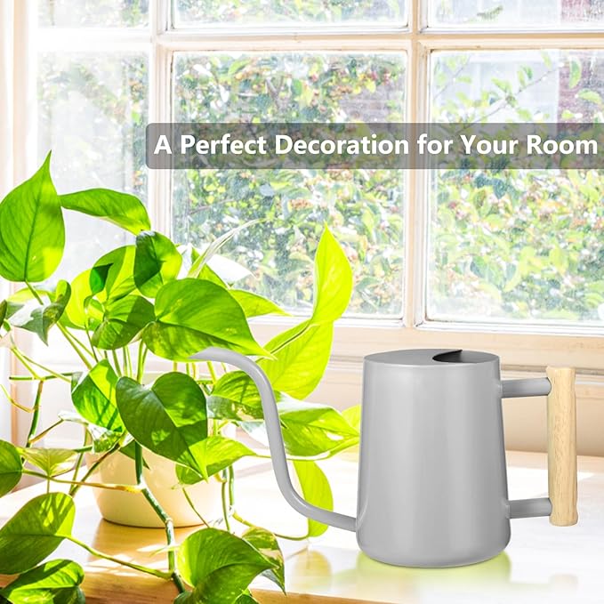 Watering Can Indoor Plants, 35oz Small Indoor Stainless Steel Metal Watering - Image 3
