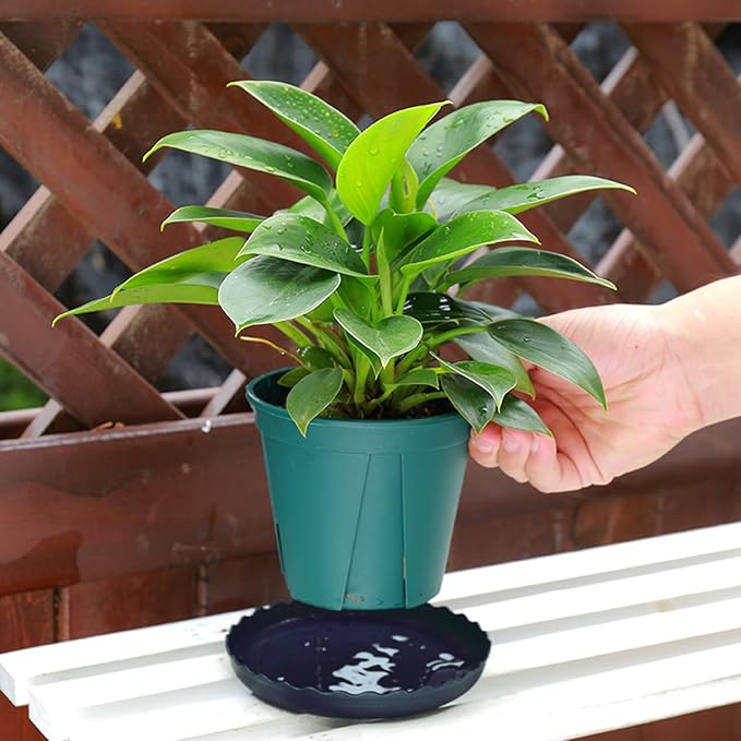 12Pcs Plant Saucer, 6 8 10 Inch Durable Plastic Plant Tray, Drip Tray - Image 4
