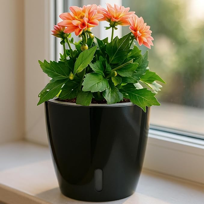 Self Watering Pots for Indoor Plants, Small African Violet Pots - Image 8