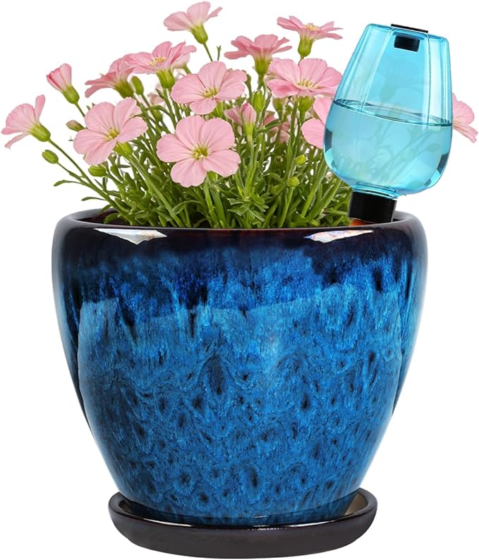 Ceramic Pots for Plant with Self Watering Globes, 6 inch Planters for Indoor by Xoogifae