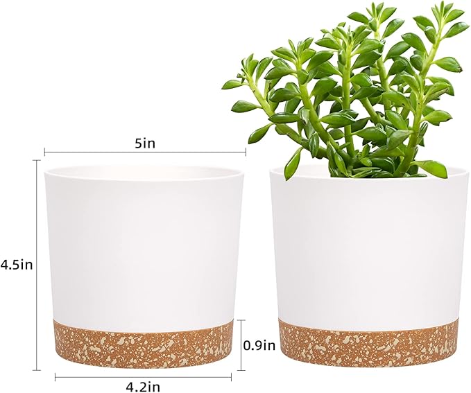 QCQHDU 5 inch Plant Pot, 2 Pack Planters - Image 2