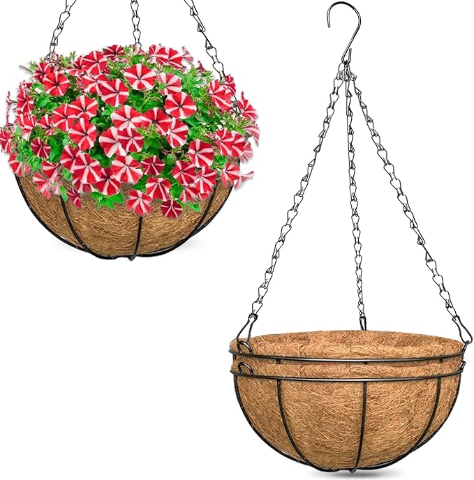 ZeeDix 3 Pack 14 Inch Hanging Baskets by ZeeDix