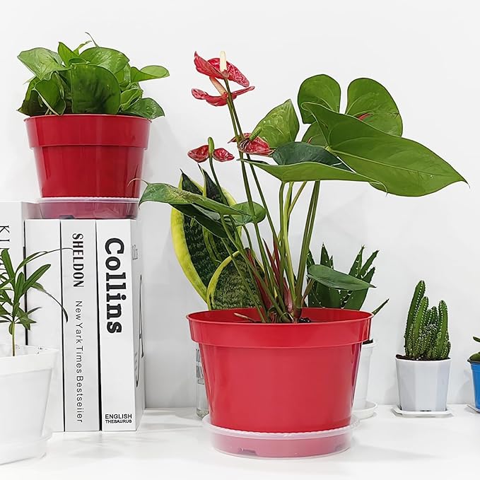 8 inch Plastic Flower Pots - Image 6