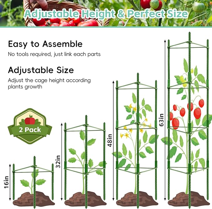 Riare 2 Pack 4 FT Tomato Cages for Garden- 48inches Heavy Duty Garden Stakes - Image 2