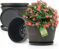 Quarut 12 Inch Large Planter Pot by Quarut
