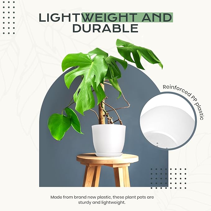 Utopia Home - Plant Pots Indoor - 7/6.6/6/5.3/4.8 Inches Flower Pots - Image 6