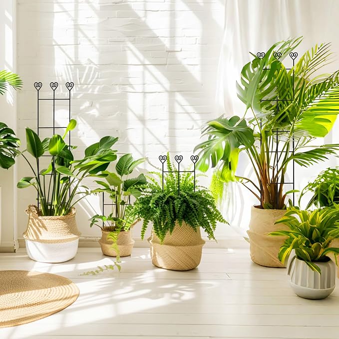 32in Large Indoor Plant Trellis - Image 8