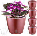 Self Watering Pots for Indoor Plants, Small African Violet Pots by KvyusFlourish