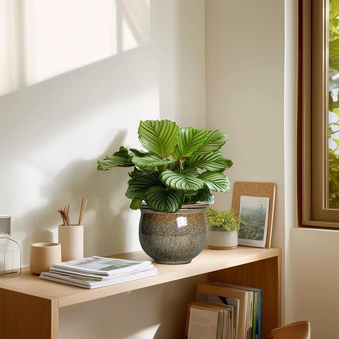 Self Watering Planters for Indoor Plants, 6 Inch Ceramic African Violet Pots - Image 7