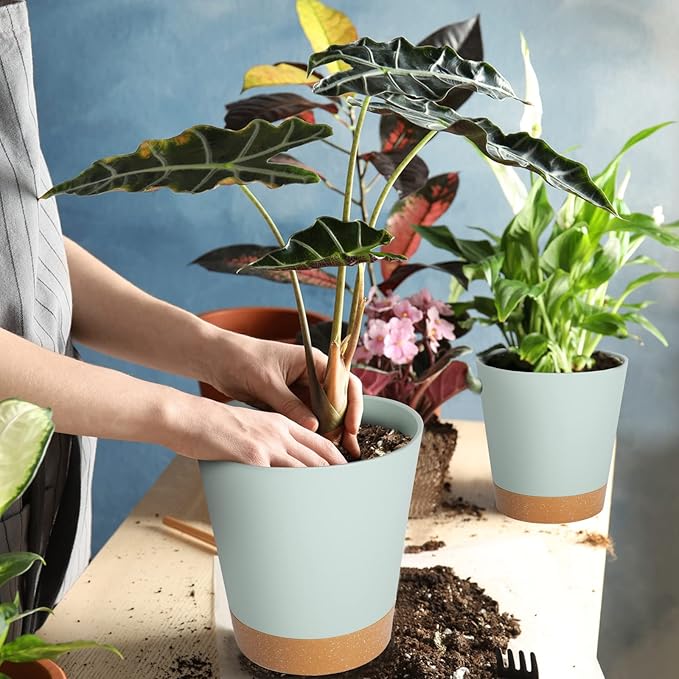 GARDIFE Plant Pots 8/7/6.5/6/5.5/5 Inch Self Watering Planters - Image 6