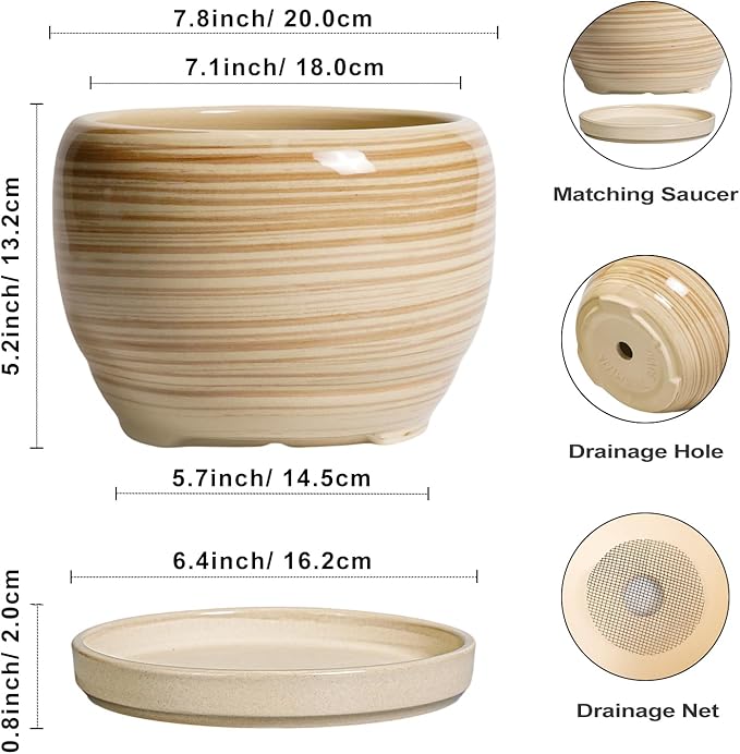 SQOWL Ceramic Planter- 8 Inch Plant Pot Indoor Outdoor, Round Planter - Image 3