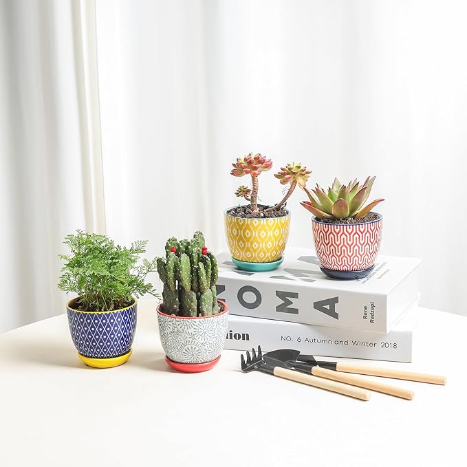Selamica Ceramic Succulent Pots, 3.5 Inch Small Plant Pots - Image 2