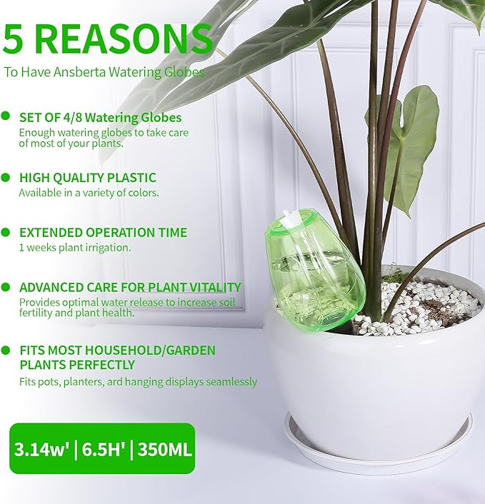 8 Pcs Plant Watering Globes Self Watering Planter Insert Plants Top Fill Water - Image 2