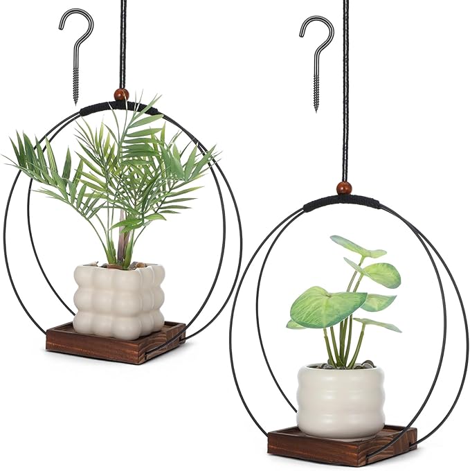 2 Pack Hanging Planters for Indoor Outdoor Plants, 12 Inch Sturdy Wood Base - Image 8