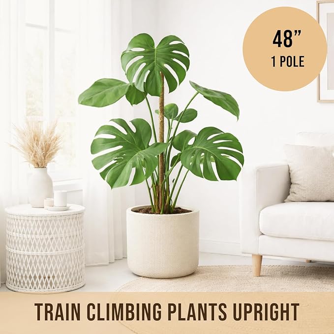 Moss Pole Monstera Plant Support – 48” Bendable Moss Pole Monstera Plant Support - Image 4