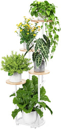 TOSKING 5 Tier Metal Plant Stand Indoor， Plant Shelf, Corner Shelf Flower Pot by TOSKINGESSENCE