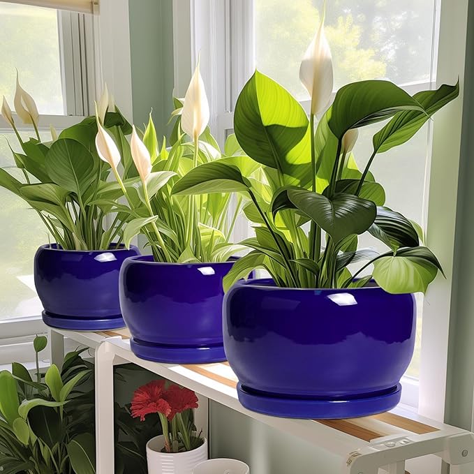 SQOWL 8 Inch Plant Pot - Image 6