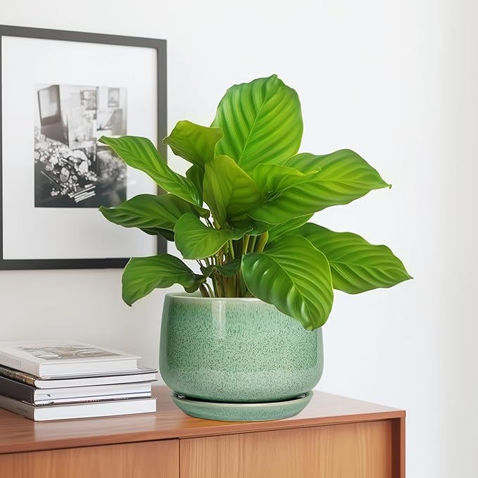 G EPGardening Ceramic Plant Pot - Image 5