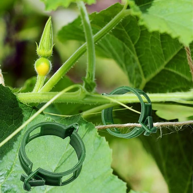 Winmany 100PCS Plant Support Garden Clips Tomato Supports/Connects by Winmany