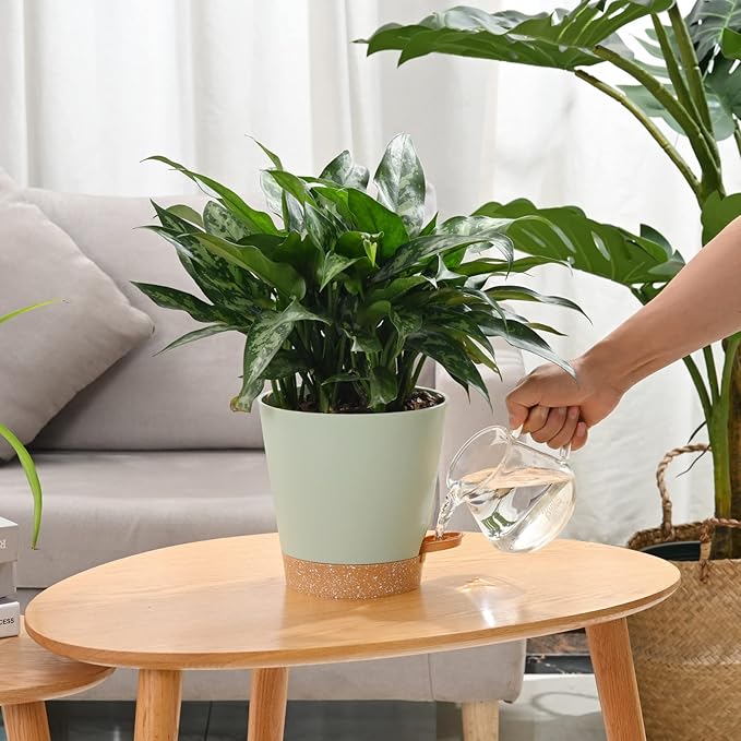 Plant Pots 6 PCS 5 inch Self Watering Planters High Drainage Flowers Pot - Image 2