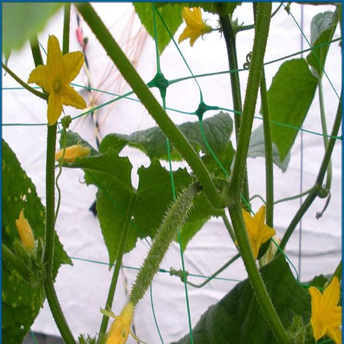 Green Trellis Netting 4x100 ft Heavy Duty Garden Netting Polypropylene Plant - Image 4