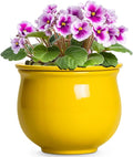 Ceramic Self Watering Planters, 6 Inch African Violet Pots by Teagas