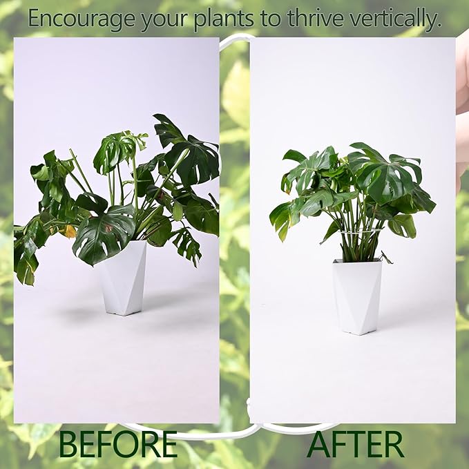 5PCS Monstera Plant Stem Support White - Image 3