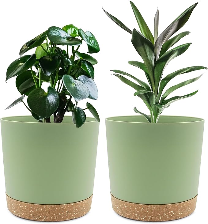 QCQHDU 8 inch Plant Pot, 2 Pack Planters by QCQHDU