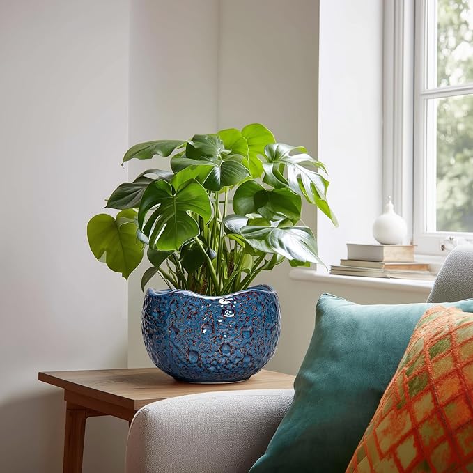 8 Inch Plant Pot - Image 3