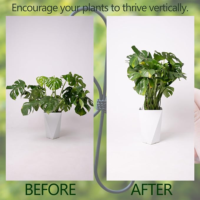 Black Monstera Plant Support Hook - Image 3