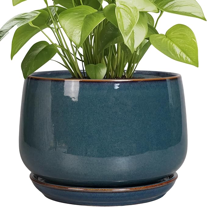 G EPGardening Ceramic Plant Pots by GEPGardening