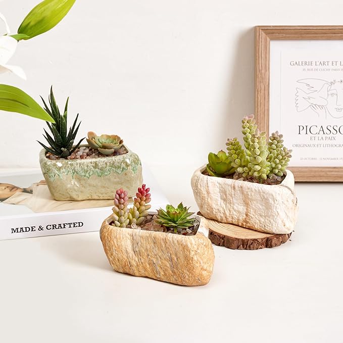 T4U 5.5 Inch Ceramic Succulent Pot Planter - Image 7
