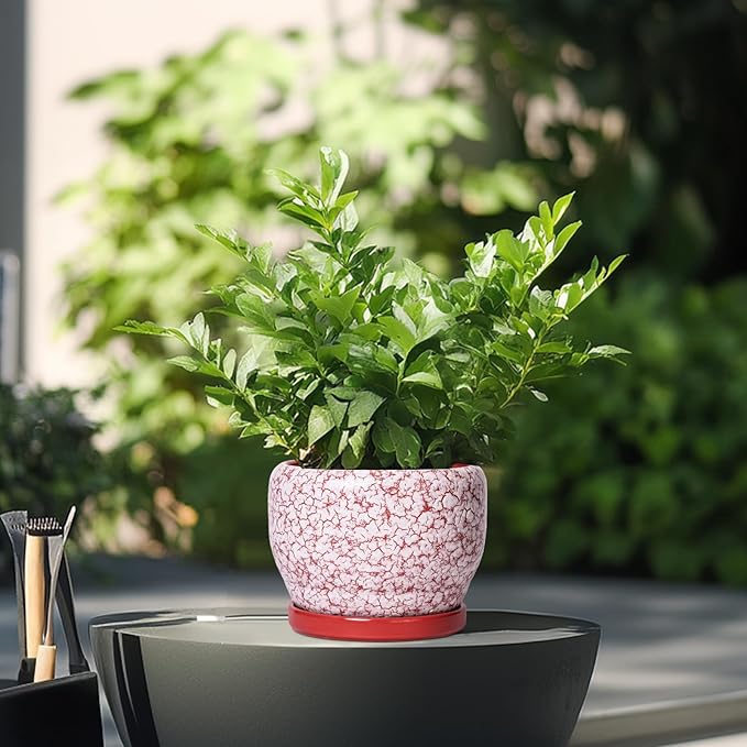 SQOWL 6 Inch Plant Pot - Image 4