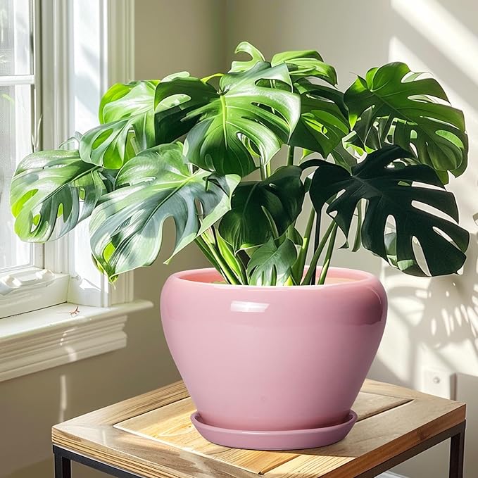 10 Inch Plant Pot - Image 6