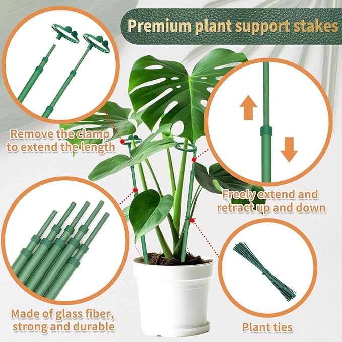 Telescoping Plant Stakes, Plant Sticks Support Tall - Image 3