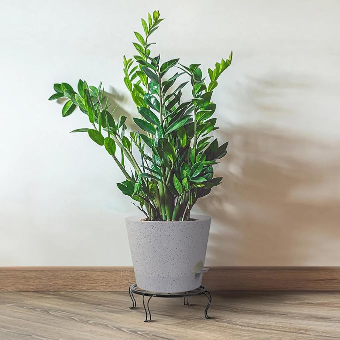 Self Watering Pots for Indoor Plants, 12 inch Planters - Image 7