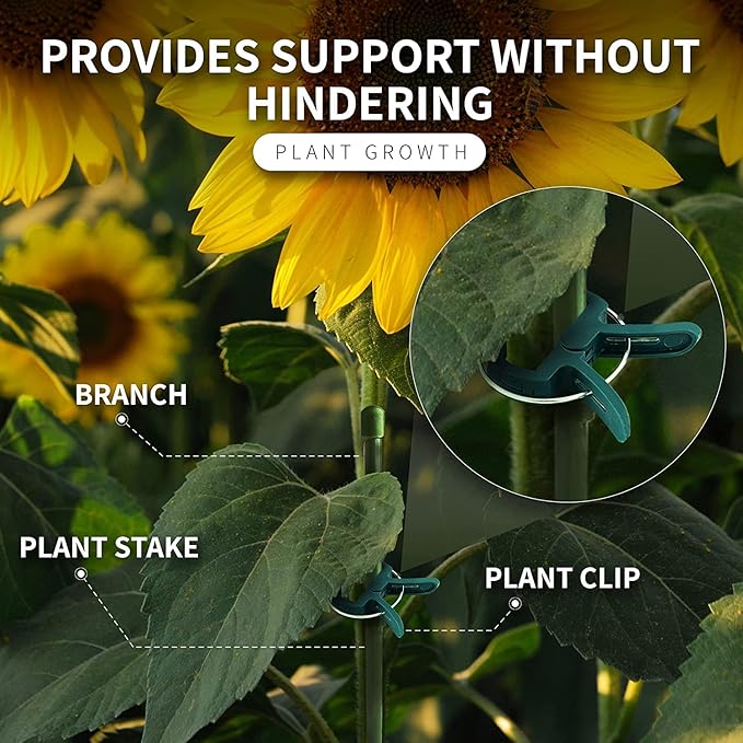 Plant Clips 80 Piece Green Gentle Gardening Plant & Flower Lever Loop Gripper - Image 2