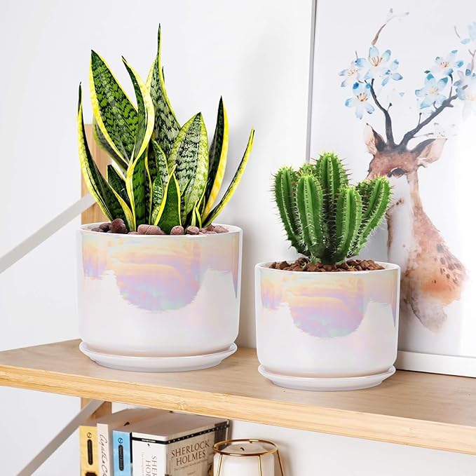 EFISPSS Plant Pots, 4+5+6 Inch Pots - Image 5