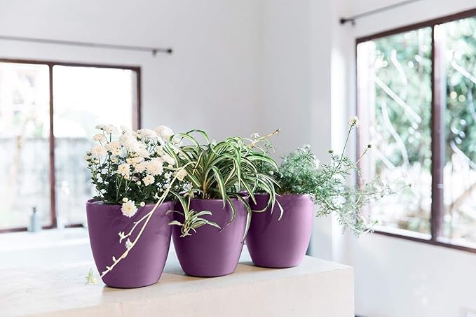 GARDENIX DECOR Self Watering Pots - Image 7