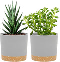 QCQHDU 5 inch Plant Pot, 2 Pack Planters by QCQHDU