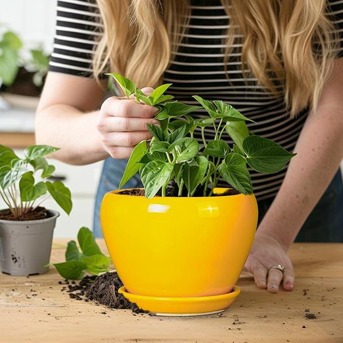 Ceramic Pot for Plants - Image 6