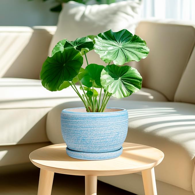 SQOWL Ceramic Planter - Image 2
