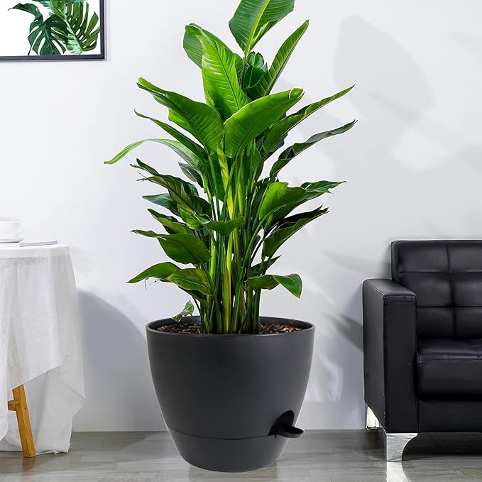 12 inch Large Self Watering Pots, Plastic Planters - Image 6